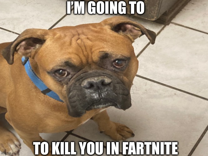 Chucho | I’M GOING TO; TO KILL YOU IN FARTNITE | image tagged in funny | made w/ Imgflip meme maker