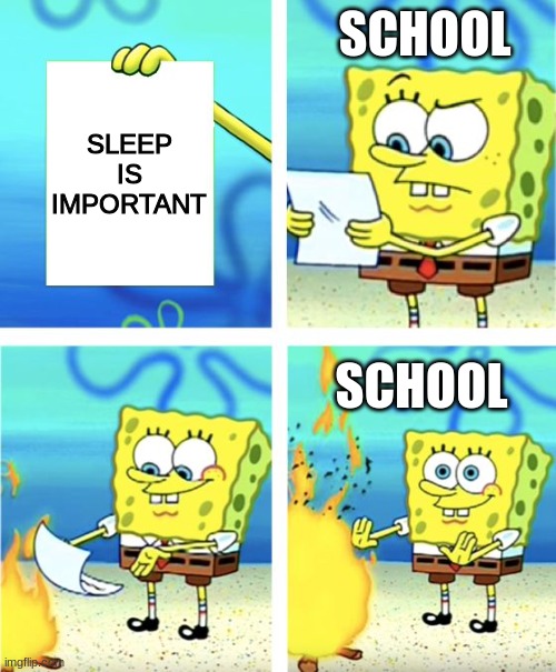 Sleep is great | SCHOOL; SLEEP IS IMPORTANT; SCHOOL | image tagged in spongebob burning paper,school,sleep | made w/ Imgflip meme maker