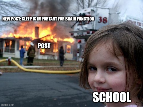 This is true | NEW POST: SLEEP IS IMPORTANT FOR BRAIN FUNCTION; POST; SCHOOL | image tagged in memes,disaster girl,school,sleep | made w/ Imgflip meme maker