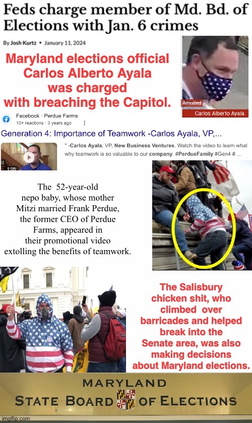 Perdue Chicken Was Available At The Capitol | image tagged in domestic terrorist,nepo baby traitor,mama's boy,election integrity | made w/ Imgflip meme maker