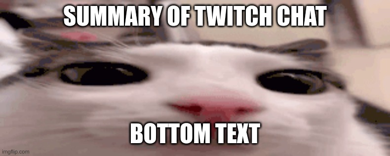 plink | SUMMARY OF TWITCH CHAT; BOTTOM TEXT | image tagged in plink | made w/ Imgflip meme maker