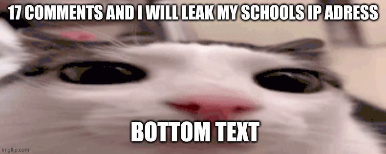 plink | 17 COMMENTS AND I WILL LEAK MY SCHOOLS IP ADRESS; BOTTOM TEXT | image tagged in plink | made w/ Imgflip meme maker