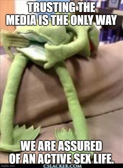 Gay kermit | TRUSTING THE MEDIA IS THE ONLY WAY WE ARE ASSURED OF AN ACTIVE SEX LIFE. | image tagged in gay kermit | made w/ Imgflip meme maker