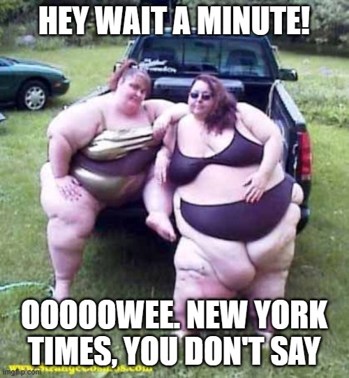 Fat girl's on a truck | HEY WAIT A MINUTE! OOOOOWEE. NEW YORK TIMES, YOU DON'T SAY | image tagged in fat girl's on a truck | made w/ Imgflip meme maker