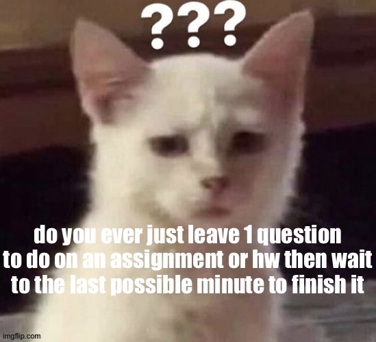 ? | do you ever just leave 1 question to do on an assignment or hw then wait to the last possible minute to finish it | made w/ Imgflip meme maker