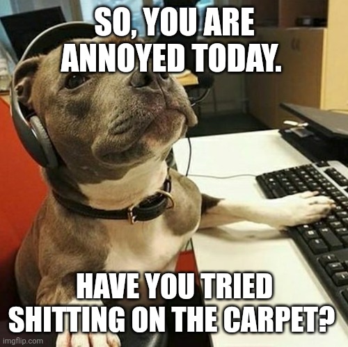 Solution | SO, YOU ARE ANNOYED TODAY. HAVE YOU TRIED SHITTING ON THE CARPET? | image tagged in pit bull tech support,solution,tech support,shit | made w/ Imgflip meme maker