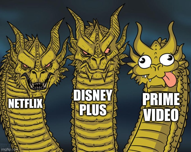 prime video doesn't even compare. | DISNEY PLUS; PRIME VIDEO; NETFLIX | image tagged in three-headed dragon | made w/ Imgflip meme maker
