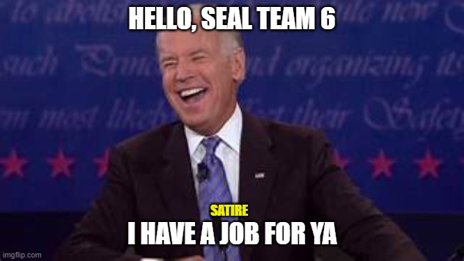 Seal Team 6 | HELLO, SEAL TEAM 6; SATIRE; I HAVE A JOB FOR YA | image tagged in joe biden | made w/ Imgflip meme maker