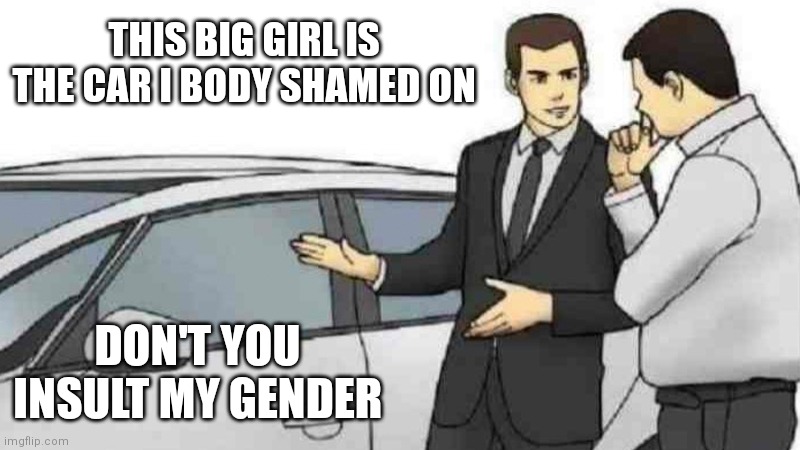 Classic animeme | THIS BIG GIRL IS THE CAR I BODY SHAMED ON; DON'T YOU INSULT MY GENDER | image tagged in memes,car salesman slaps roof of car,classic,animeme | made w/ Imgflip meme maker