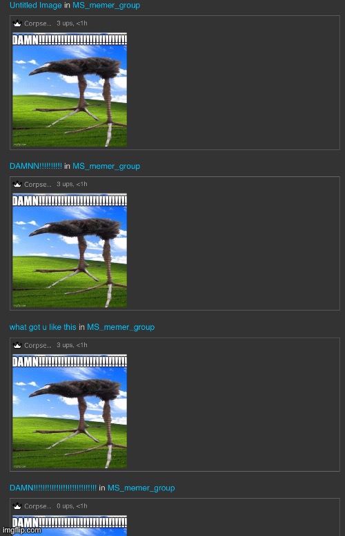 There is only one type of comment | made w/ Imgflip meme maker