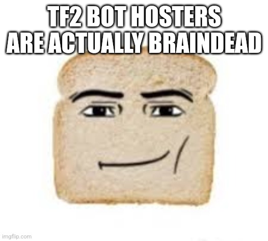 man face bread | TF2 BOT HOSTERS ARE ACTUALLY BRAINDEAD | image tagged in man face bread | made w/ Imgflip meme maker