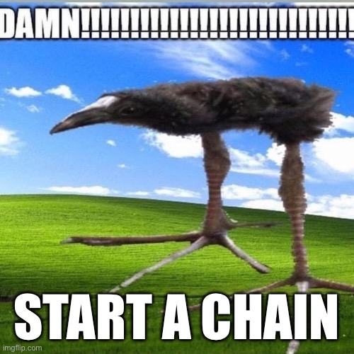 DAMN!!!!!!!!!!!!!!!!!!!!!!!!!!!! | START A CHAIN | image tagged in damn | made w/ Imgflip meme maker