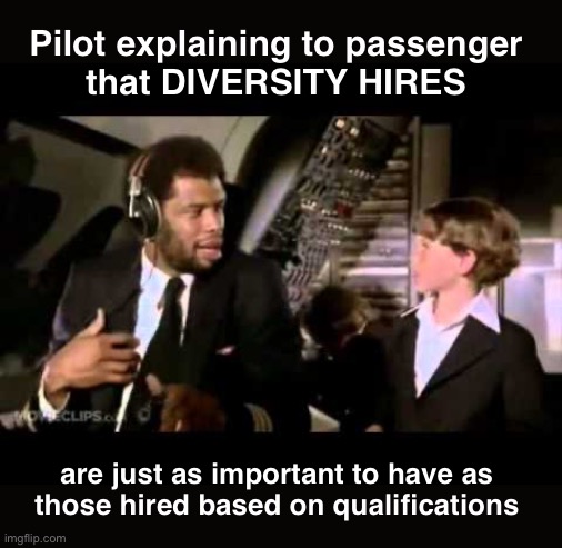 DEI must die | Pilot explaining to passenger 
that DIVERSITY HIRES; are just as important to have as 
those hired based on qualifications | image tagged in kareem airplane cockpit | made w/ Imgflip meme maker