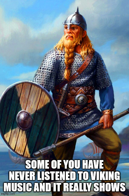 ik none of you have lived in sweden and i think yall need it | SOME OF YOU HAVE NEVER LISTENED TO VIKING MUSIC AND IT REALLY SHOWS | image tagged in viking | made w/ Imgflip meme maker