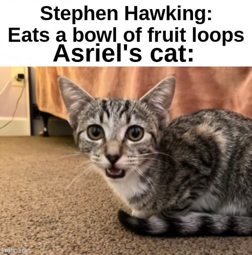 . | Asriel's cat:; Stephen Hawking: Eats a bowl of fruit loops | image tagged in live asriel's cat reaction | made w/ Imgflip meme maker