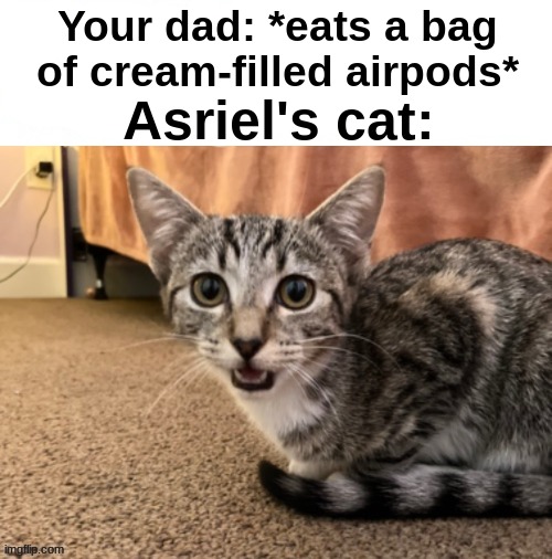. | Your dad: *eats a bag of cream-filled airpods*; Asriel's cat: | image tagged in live asriel's cat reaction | made w/ Imgflip meme maker