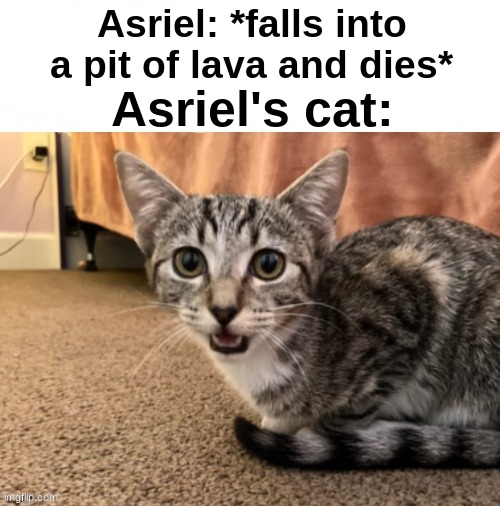 . | Asriel: *falls into a pit of lava and dies*; Asriel's cat: | image tagged in live asriel's cat reaction | made w/ Imgflip meme maker