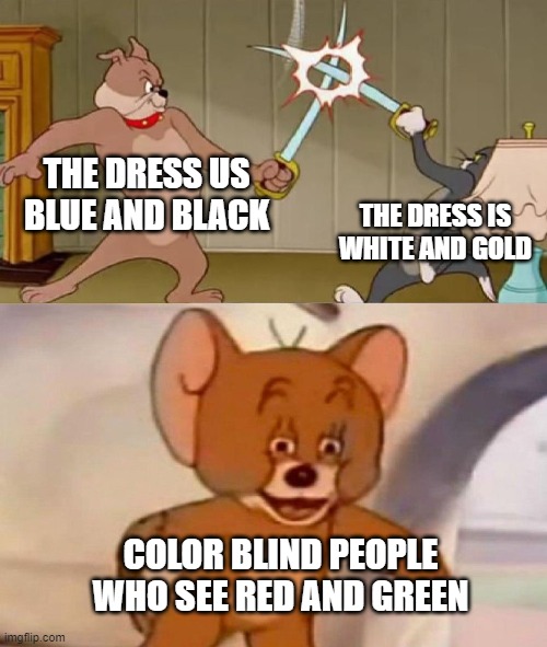 Tom and Jerry swordfight | THE DRESS US BLUE AND BLACK; THE DRESS IS WHITE AND GOLD; COLOR BLIND PEOPLE WHO SEE RED AND GREEN | image tagged in memes | made w/ Imgflip meme maker