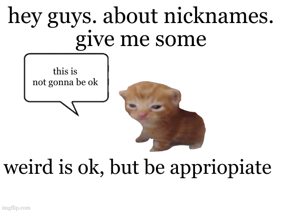 yes. | hey guys. about nicknames.
give me some; this is not gonna be ok; weird is ok, but be appriopiate | image tagged in blank white template | made w/ Imgflip meme maker