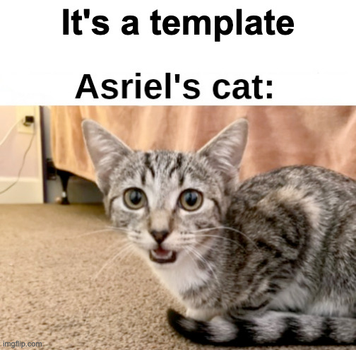 Asriel's cat: | It's a template | image tagged in asriel's cat | made w/ Imgflip meme maker