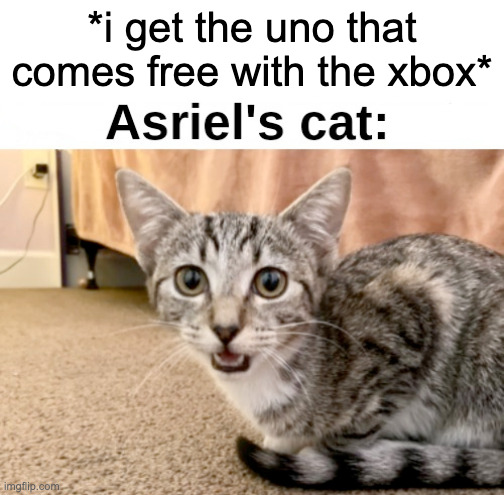 Asriel's cat: | *i get the uno that comes free with the xbox* | image tagged in asriel's cat | made w/ Imgflip meme maker