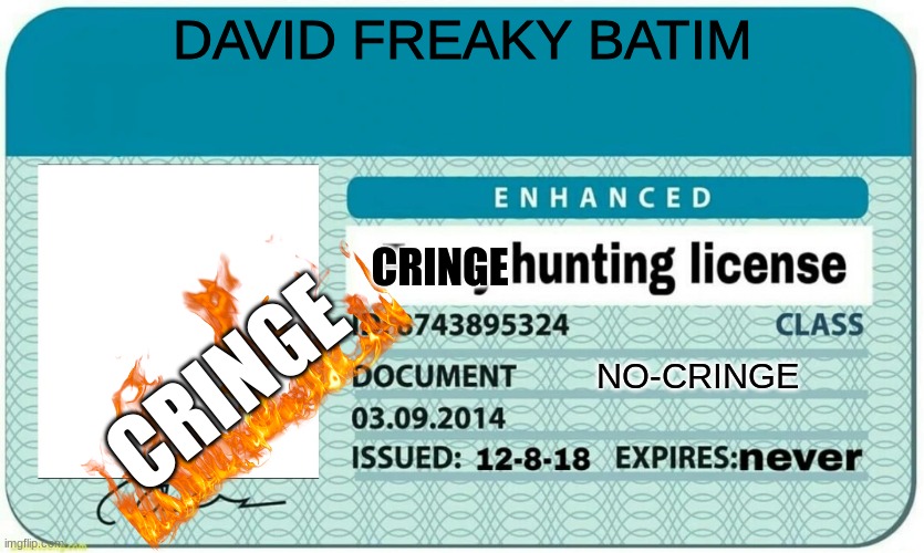 the begining | DAVID FREAKY BATIM; CRINGE; CRINGE; NO-CRINGE | image tagged in furry hunting license | made w/ Imgflip meme maker