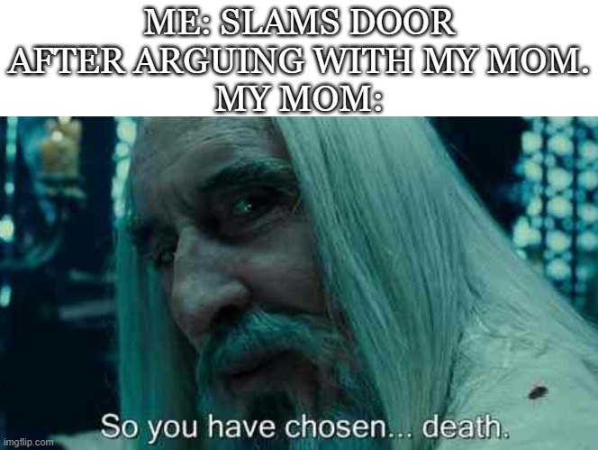 Guess ill die | ME: SLAMS DOOR AFTER ARGUING WITH MY MOM.
MY MOM: | image tagged in so you have chosen death,funny,memes,meme,relatable | made w/ Imgflip meme maker