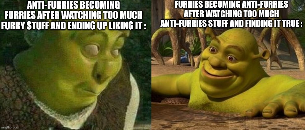 It's a circle I find often | ANTI-FURRIES BECOMING FURRIES AFTER WATCHING TOO MUCH FURRY STUFF AND ENDING UP LIKING IT :; FURRIES BECOMING ANTI-FURRIES AFTER WATCHING TOO MUCH ANTI-FURRIES STUFF AND FINDING IT TRUE : | image tagged in oops shrek,furry,anti furry,it's a trap,memes,funny | made w/ Imgflip meme maker