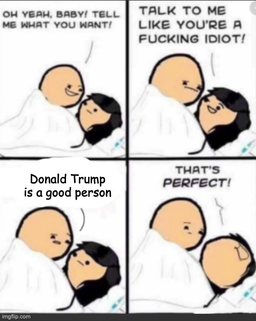 Funny template | Donald Trump is a good person | image tagged in talk to me like a idiot,memes,funny,politics,donald trump | made w/ Imgflip meme maker