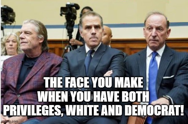 The face you make when you have both privileges, White and Democrat! | THE FACE YOU MAKE WHEN YOU HAVE BOTH PRIVILEGES, WHITE AND DEMOCRAT! | image tagged in white privilege,democrats,liberals | made w/ Imgflip meme maker