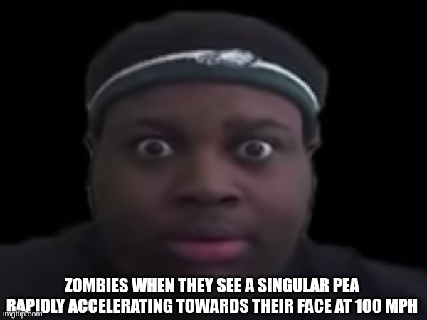 Uh oh | ZOMBIES WHEN THEY SEE A SINGULAR PEA RAPIDLY ACCELERATING TOWARDS THEIR FACE AT 100 MPH | image tagged in memes,edp445 | made w/ Imgflip meme maker