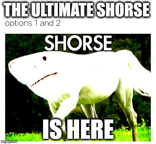 Shorse... | THE ULTIMATE SHORSE; IS HERE | image tagged in shorse | made w/ Imgflip meme maker