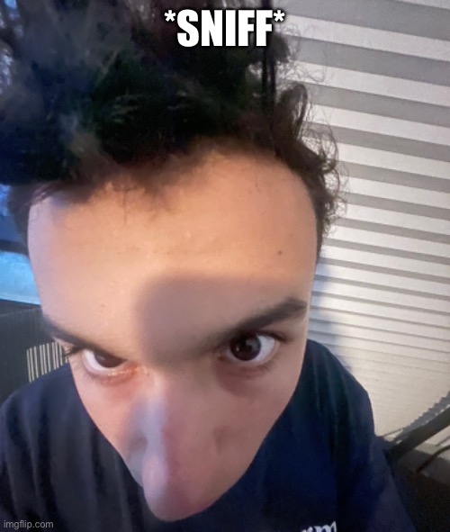 *SNIFF* | made w/ Imgflip meme maker