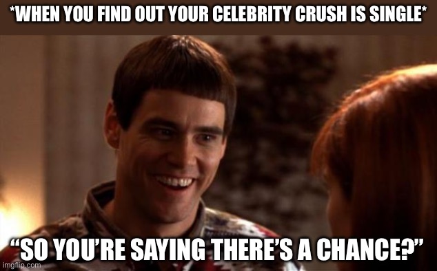 When Your Celebrity Crush Is Single | *WHEN YOU FIND OUT YOUR CELEBRITY CRUSH IS SINGLE*; “SO YOU’RE SAYING THERE’S A CHANCE?” | image tagged in so you're saying there's a chance,celebrity,crush,date,dumb and dumber | made w/ Imgflip meme maker
