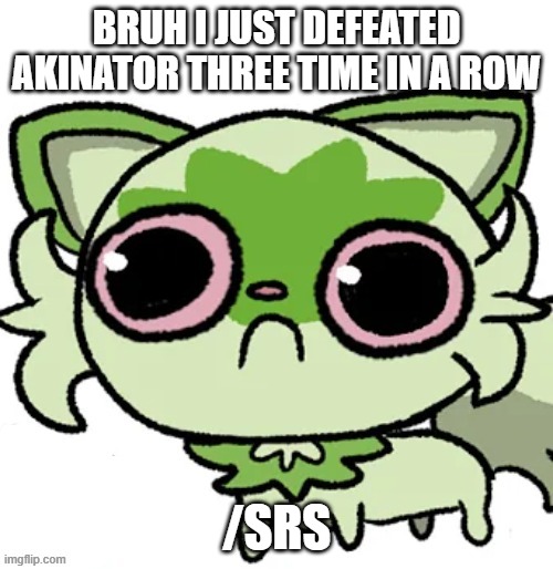 weed cat | BRUH I JUST DEFEATED AKINATOR THREE TIME IN A ROW; /SRS | image tagged in weed cat | made w/ Imgflip meme maker