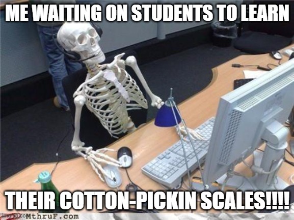 learn your scales | ME WAITING ON STUDENTS TO LEARN; THEIR COTTON-PICKIN SCALES!!!! | image tagged in waiting skeleton | made w/ Imgflip meme maker