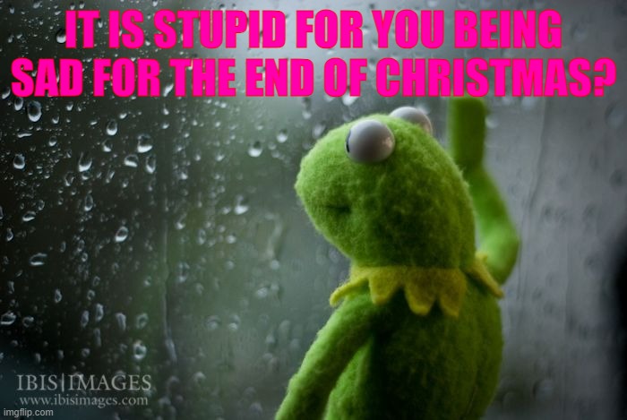 is it for you? | IT IS STUPID FOR YOU BEING SAD FOR THE END OF CHRISTMAS? | image tagged in kermit window | made w/ Imgflip meme maker