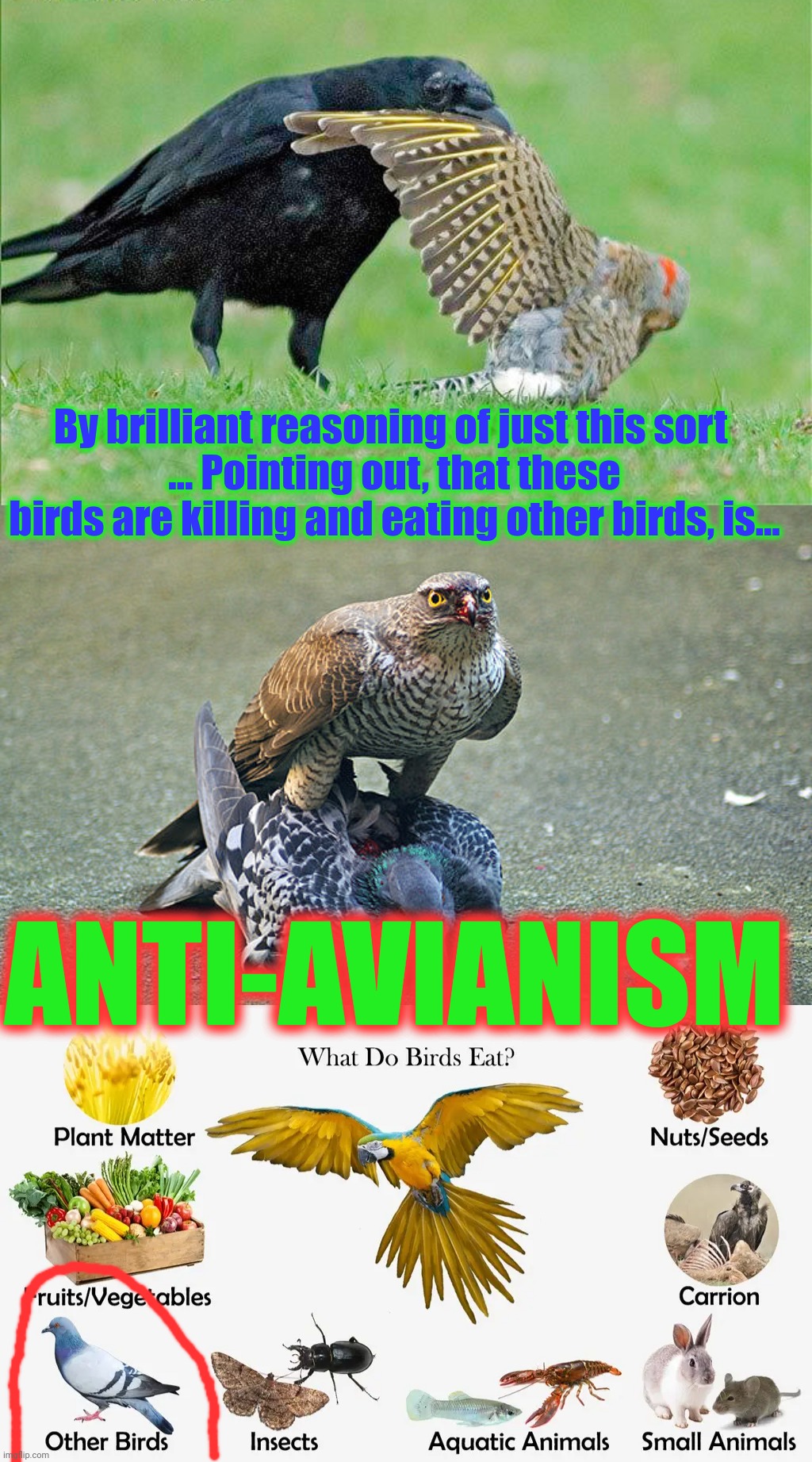 By brilliant reasoning of just this sort 
... Pointing out, that these birds are killing and eating other birds, is... ANTI-AVIANISM | made w/ Imgflip meme maker