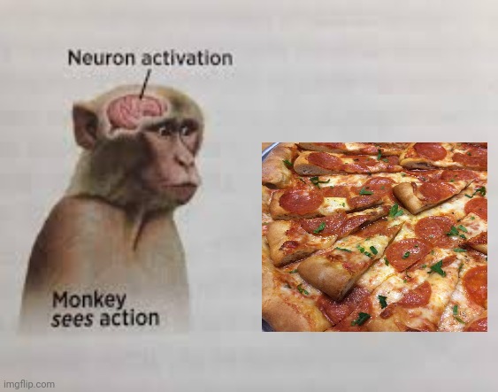 A big pizza topped with smaller pizzas | image tagged in neuron activation,pizza,pizzas,memes,meme,food | made w/ Imgflip meme maker