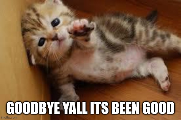 Sad Kitten Goodbye | GOODBYE YALL ITS BEEN GOOD | image tagged in sad kitten goodbye | made w/ Imgflip meme maker