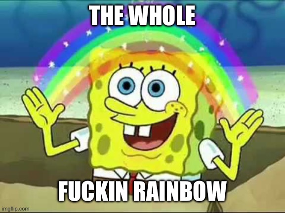 sponge bob rainbow | THE WHOLE FUCKIN RAINBOW | image tagged in sponge bob rainbow | made w/ Imgflip meme maker