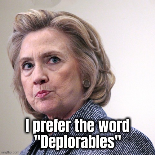 hillary clinton pissed | I prefer the word
"Deplorables" | image tagged in hillary clinton pissed | made w/ Imgflip meme maker