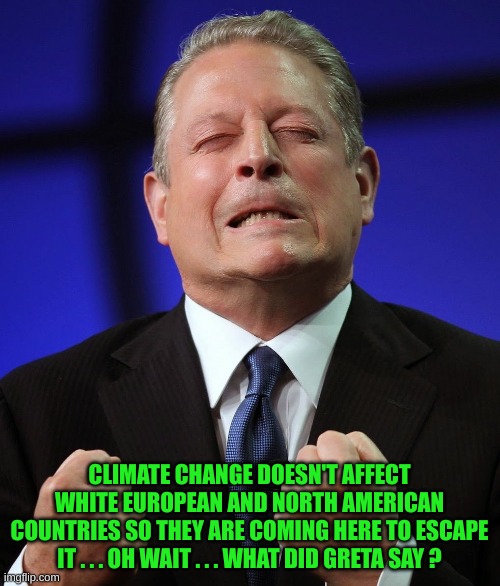Al gore | CLIMATE CHANGE DOESN'T AFFECT WHITE EUROPEAN AND NORTH AMERICAN COUNTRIES SO THEY ARE COMING HERE TO ESCAPE IT . . . OH WAIT . . . WHAT DID  | image tagged in al gore | made w/ Imgflip meme maker
