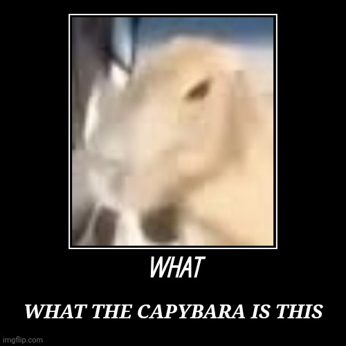 Capybara head low quality image | WHAT | WHAT THE CAPYBARA IS THIS | image tagged in funny,demotivationals | made w/ Imgflip demotivational maker