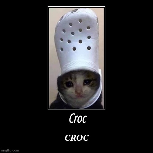 Croc cat | Croc | CROC | image tagged in funny,demotivationals | made w/ Imgflip demotivational maker