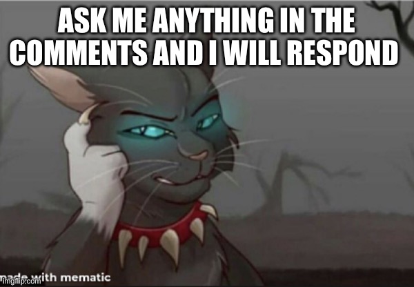 bloodclan | ASK ME ANYTHING IN THE COMMENTS AND I WILL RESPOND | image tagged in bloodclan | made w/ Imgflip meme maker