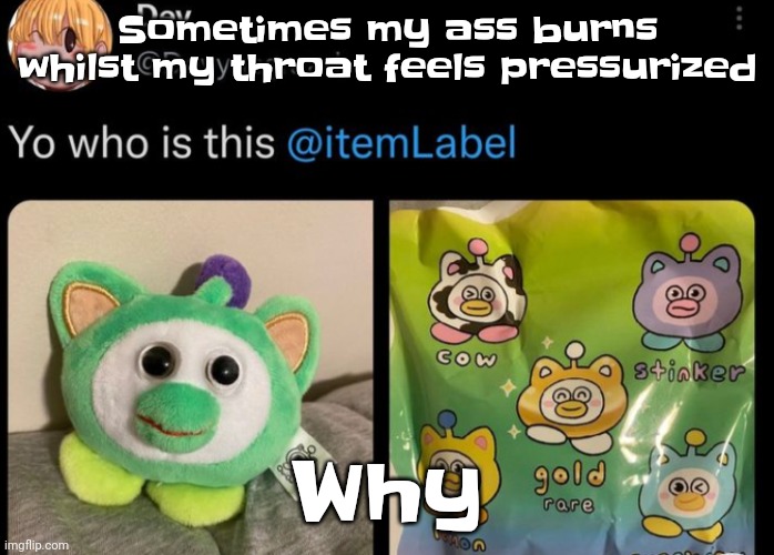 Guh | Sometimes my ass burns whilst my throat feels pressurized; Why | image tagged in uhhh itemlabel | made w/ Imgflip meme maker