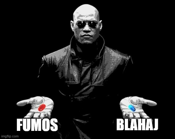 touhou fumos or blahaj? | FUMOS; BLAHAJ | image tagged in morpheus matrix blue pill red pill | made w/ Imgflip meme maker