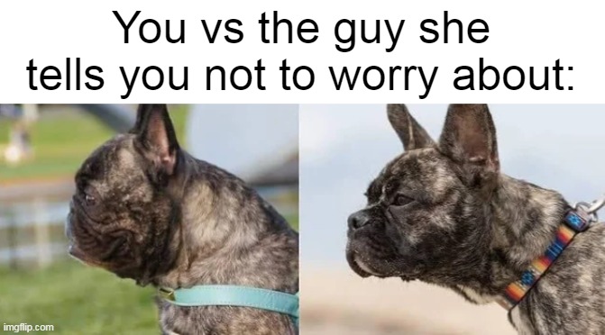 i have a feeling she don't want my bone | You vs the guy she tells you not to worry about: | image tagged in memes,funny,dogs,hello tag readers | made w/ Imgflip meme maker