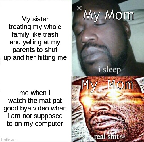 . | My Mom; My sister treating my whole family like trash and yelling at my parents to shut up and her hitting me; My Mom; me when I watch the mat pat good bye video when I am not supposed to on my computer | image tagged in memes,sleeping shaq | made w/ Imgflip meme maker